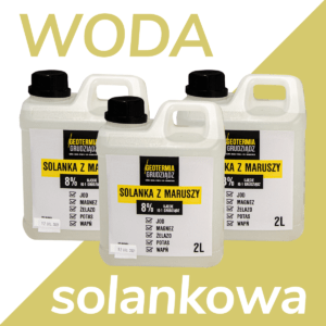 Woda solankowa 2L